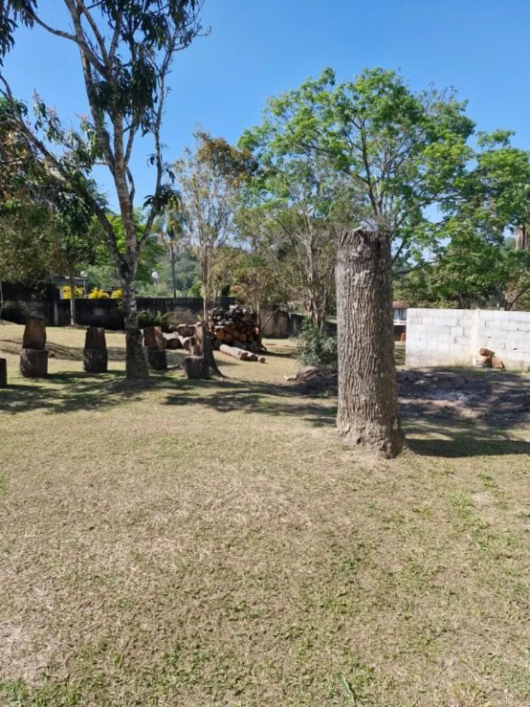 Chácara, 4 quartos, 4000 m² - Foto 3