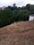Terreno, 262 m² - Foto 3