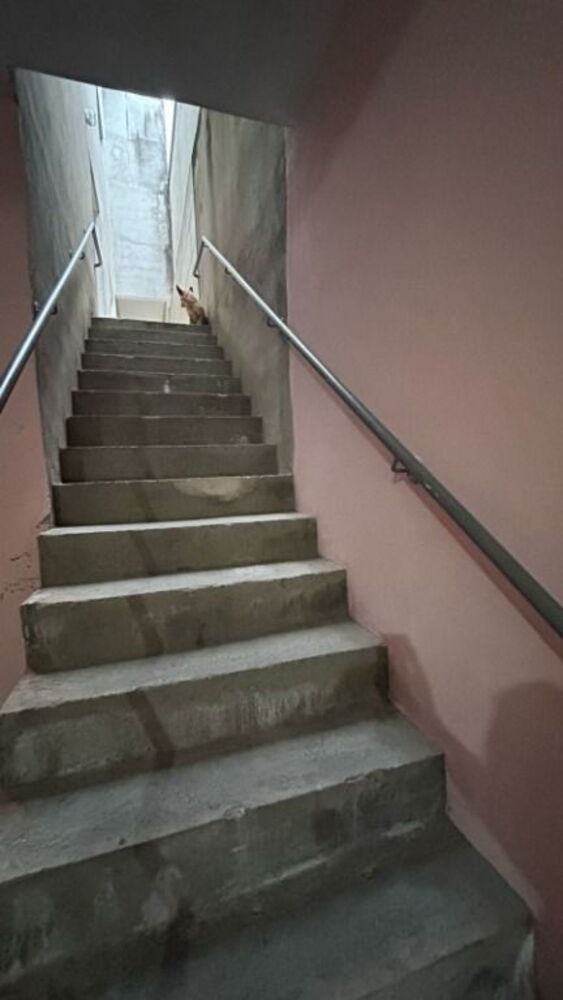 Sobrado, 3 quartos, 240 m² - Foto 3