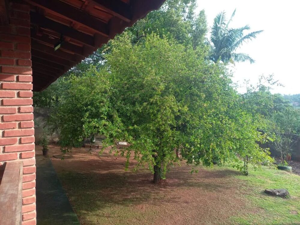 Chácara à venda com 3 quartos, 1000m² - Foto 6