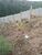 Terreno, 512 m² - Foto 3