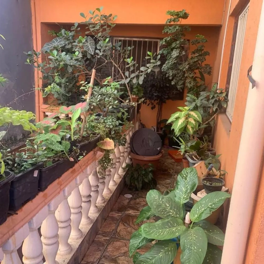 Sobrado, 6 quartos, 250 m² - Foto 3