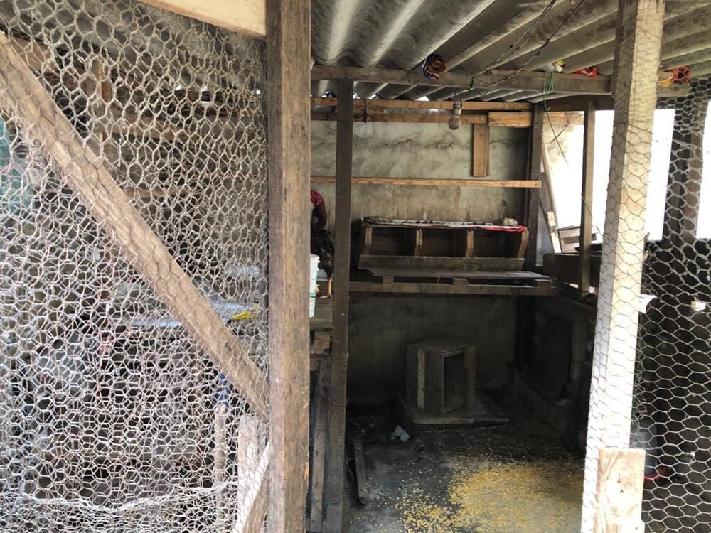 Casa, 3 quartos, 150 m² - Foto 4