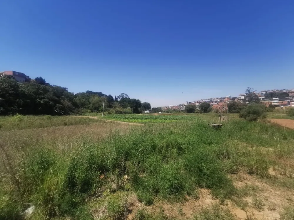 Terreno, 10 hectares - Foto 6