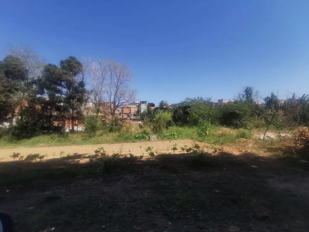 Terreno, 10 hectares - Foto 4