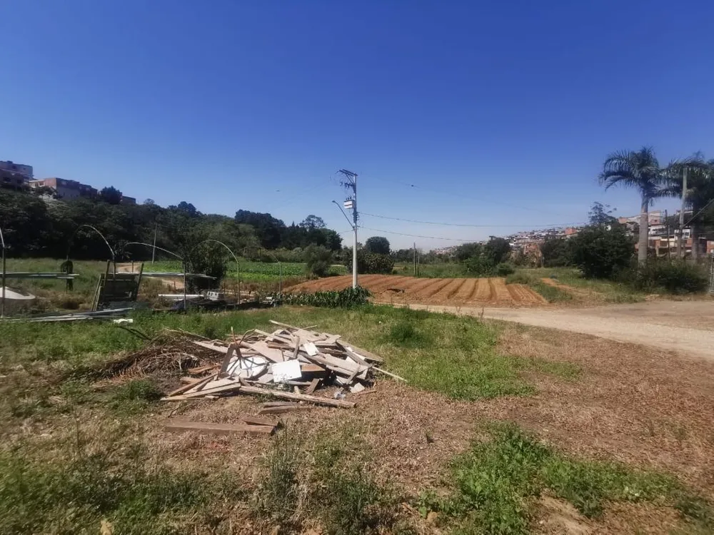 Terreno, 10 hectares - Foto 7