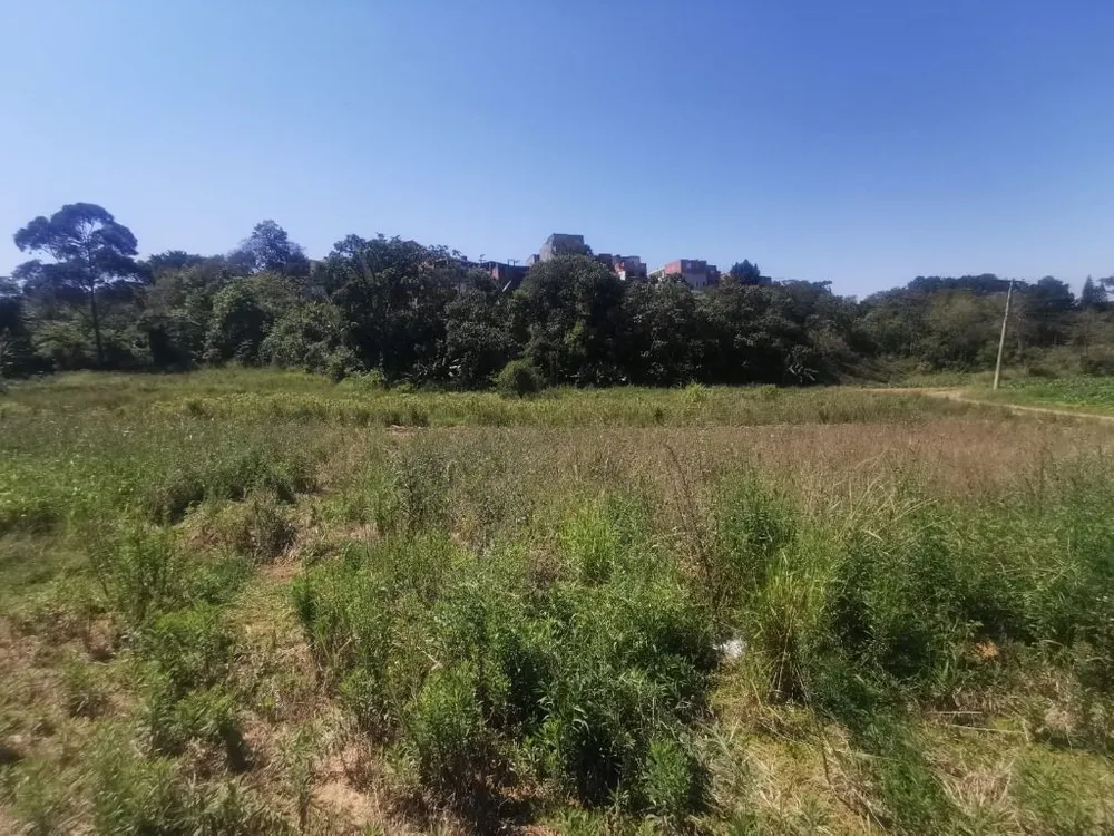 Terreno, 10 hectares - Foto 6