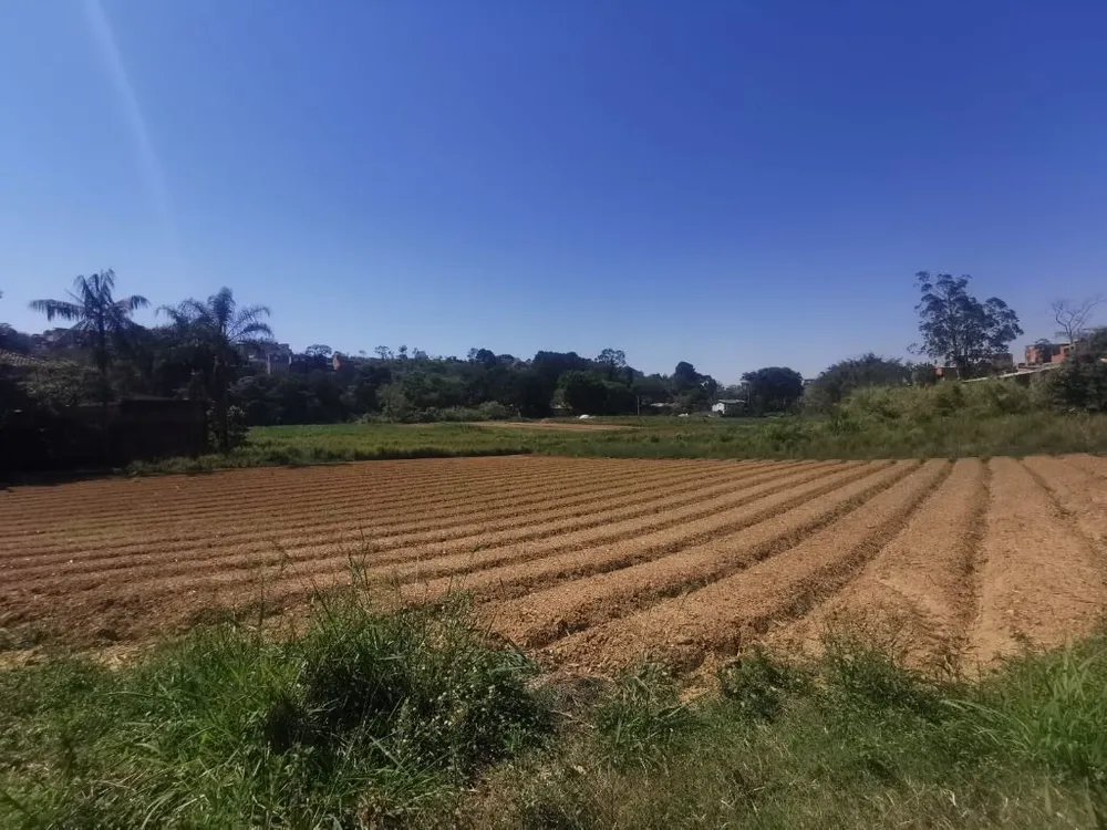 Terreno, 10 hectares - Foto 1
