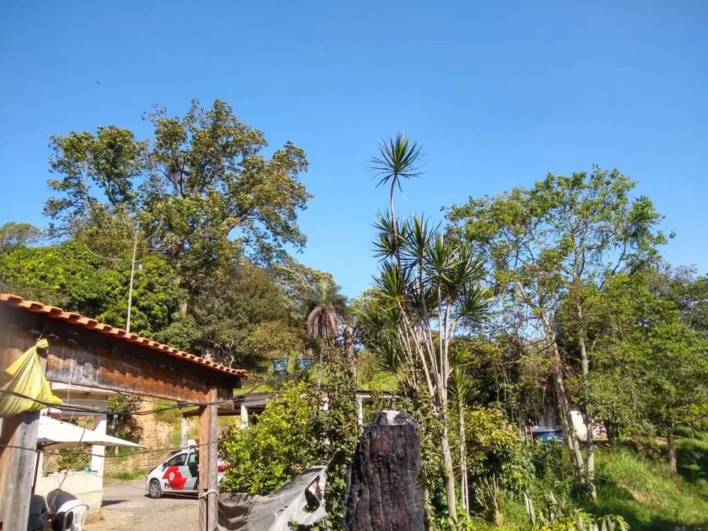 Terreno, 2 hectares - Foto 2