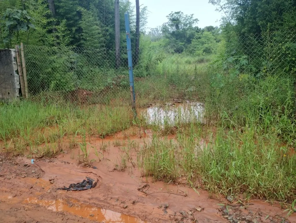 Terreno, 4 hectares - Foto 6
