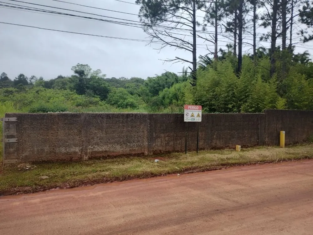 Terreno, 4 hectares - Foto 7