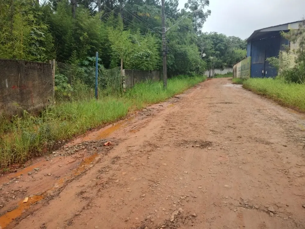 Terreno, 4 hectares - Foto 8