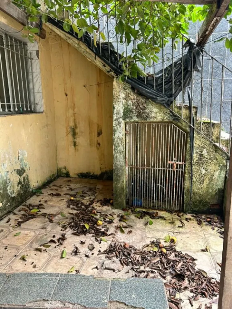 Casa, 1 quarto, 127 m² - Foto 5