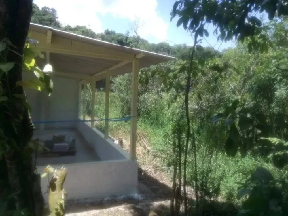 Terreno, 7 hectares - Foto 6