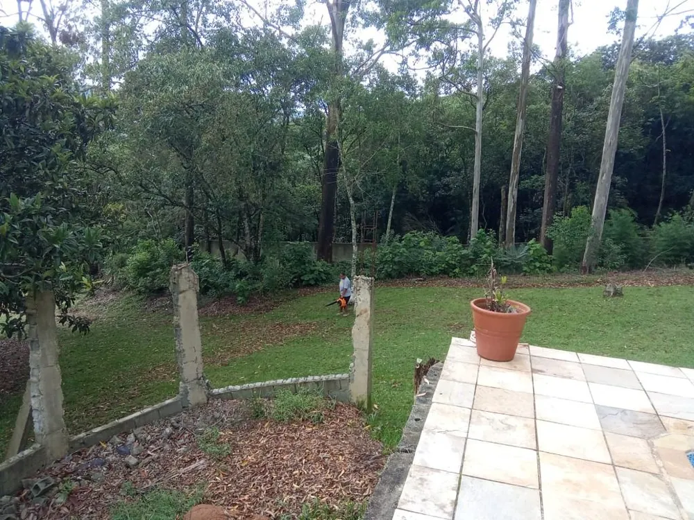 Terreno, 4 hectares - Foto 7