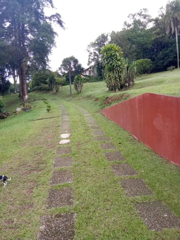 Terreno, 4 hectares - Foto 2