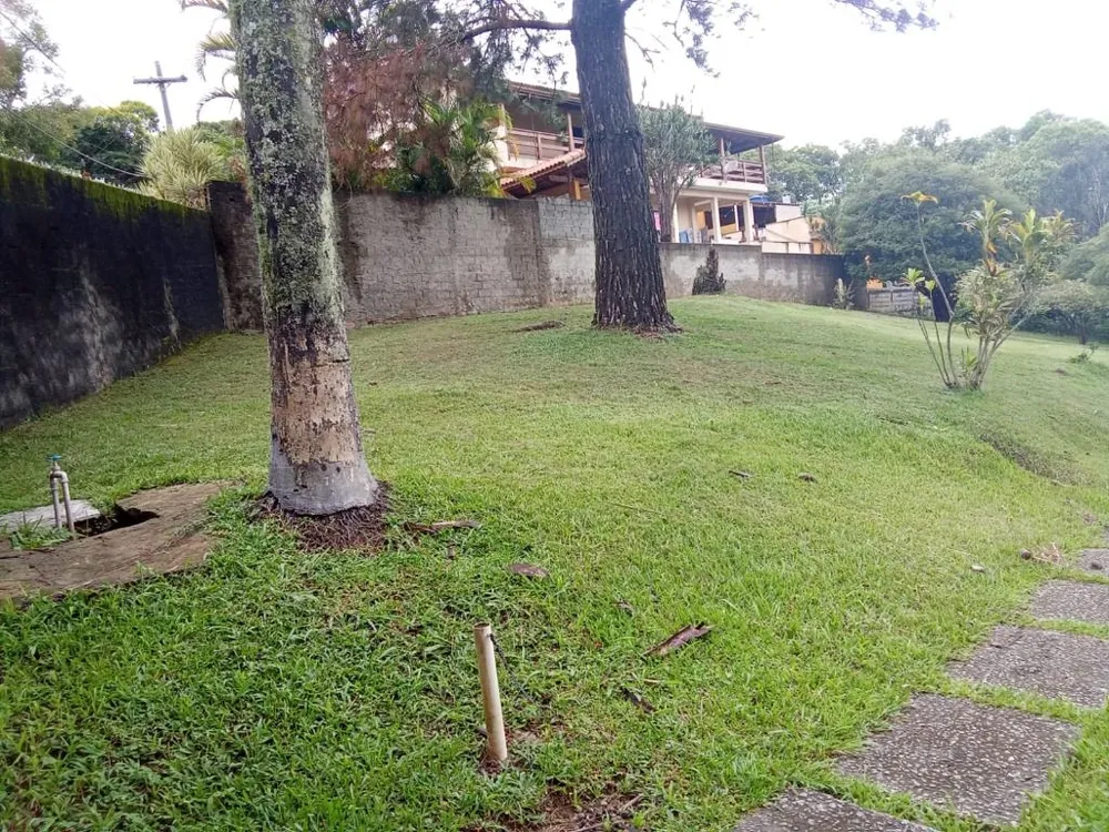 Terreno, 4 hectares - Foto 3