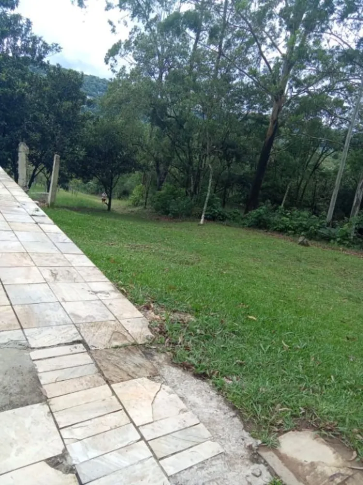 Terreno, 4 hectares - Foto 8
