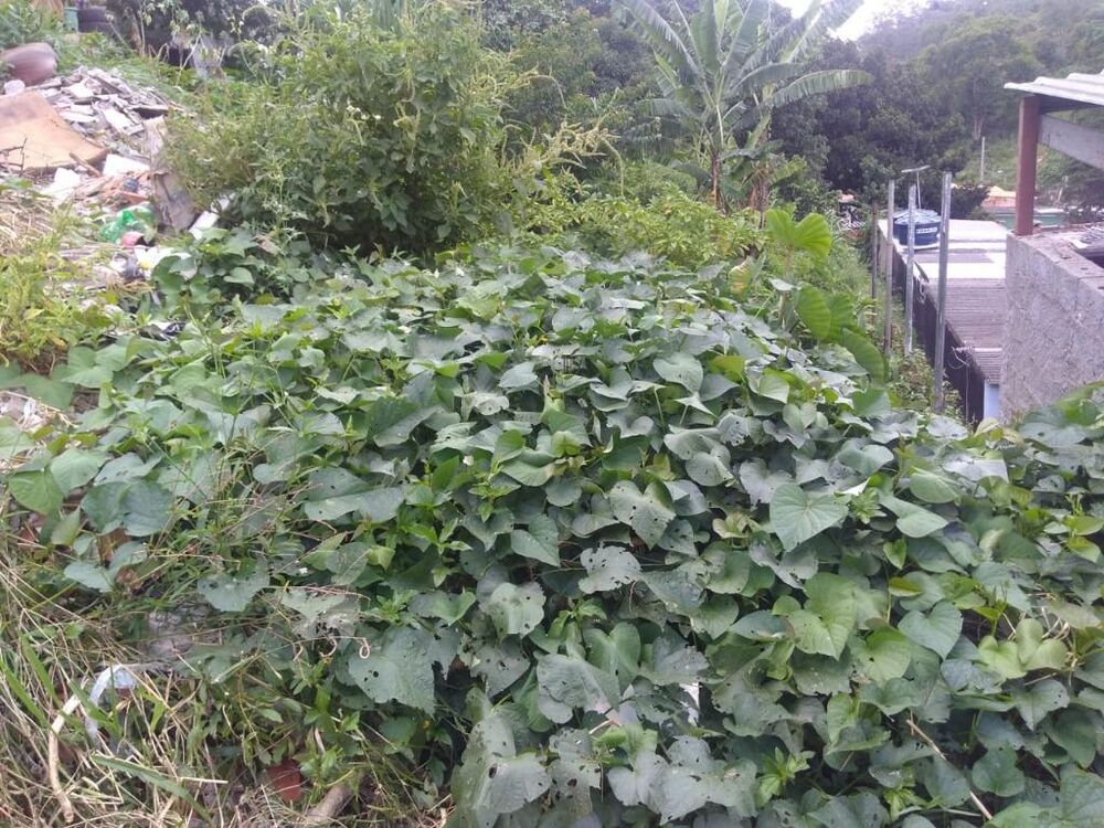 Terreno, 400 m² - Foto 1