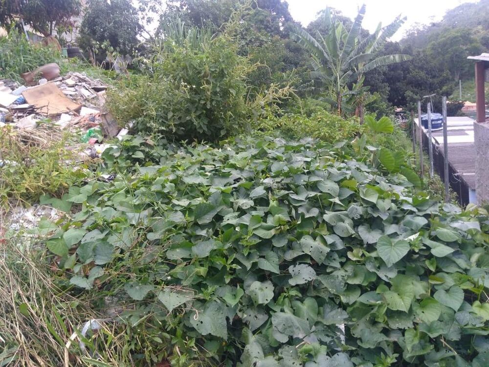 Terreno, 400 m² - Foto 5