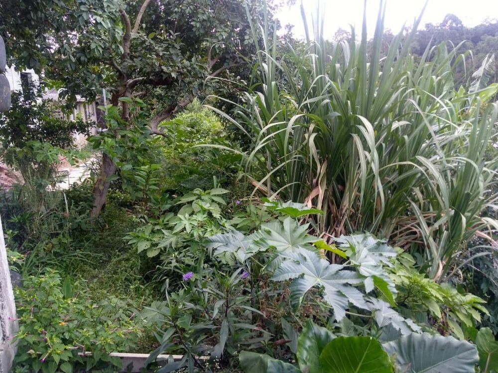 Terreno, 400 m² - Foto 4