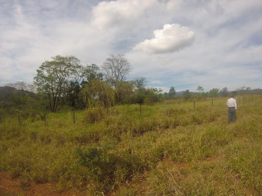 Terreno, 3 hectares - Foto 9