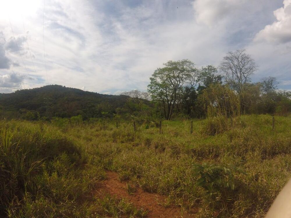 Terreno, 3 hectares - Foto 1