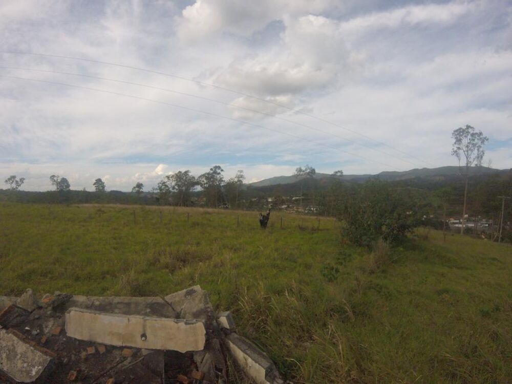 Terreno, 3 hectares - Foto 13