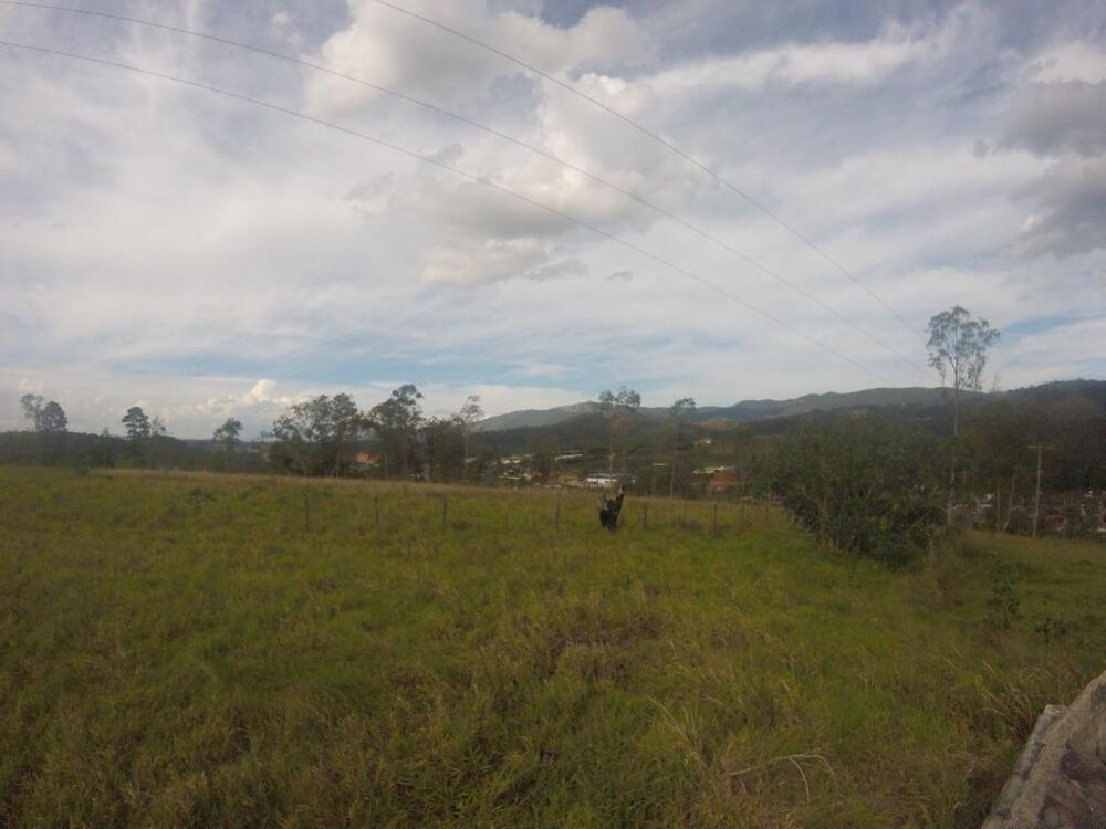 Terreno, 3 hectares - Foto 12