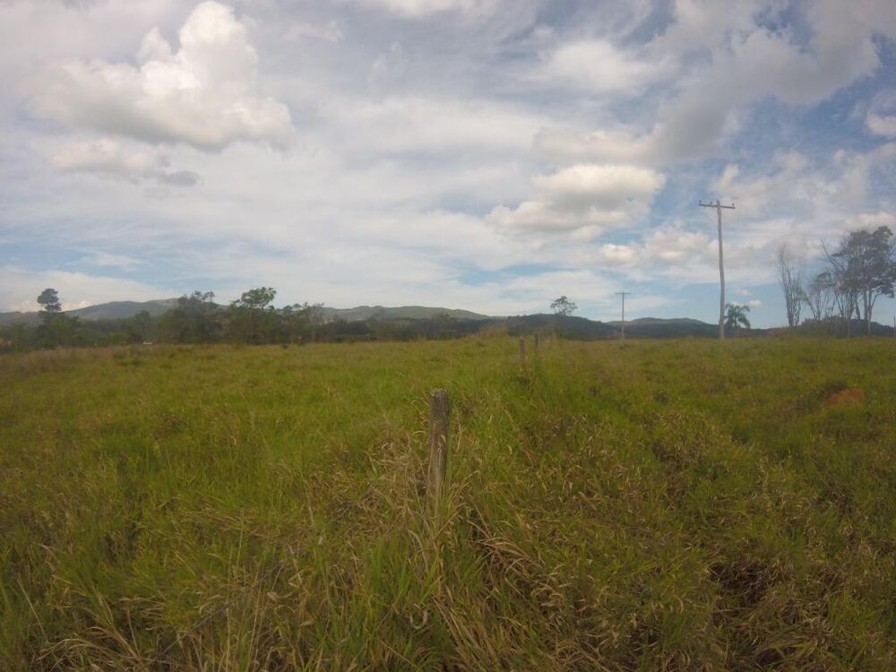 Terreno, 3 hectares - Foto 6