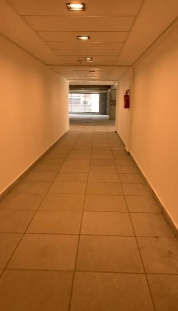 Sala-Conjunto, 1000 m² - Foto 3