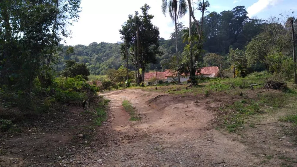 Terreno, 5 hectares - Foto 4
