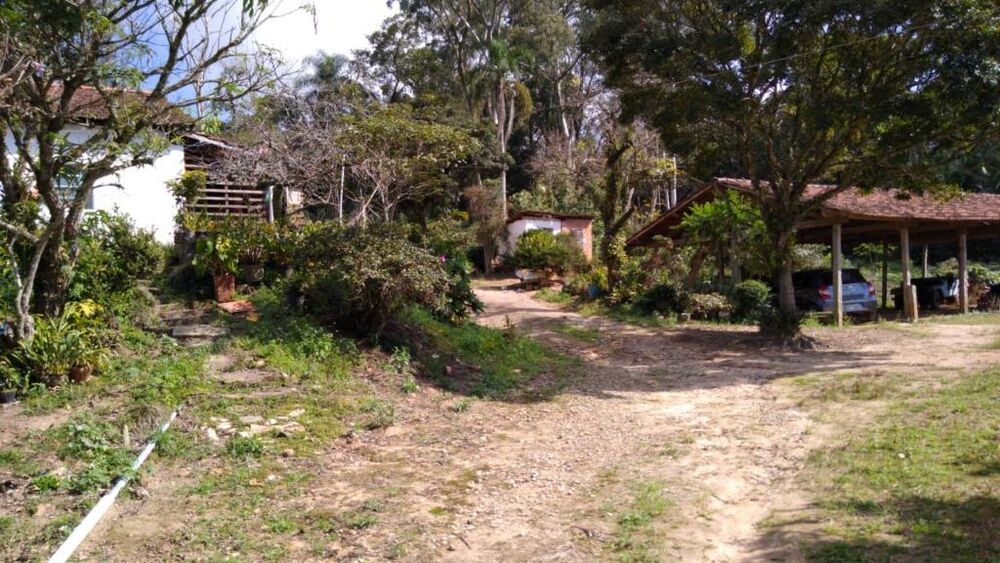 Terreno, 5 hectares - Foto 12