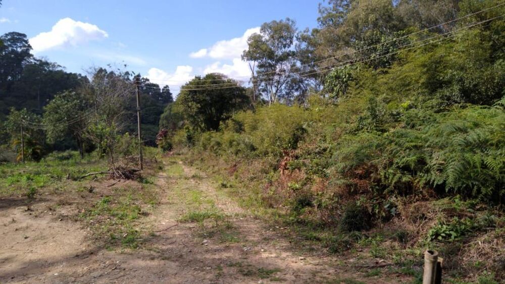 Terreno, 5 hectares - Foto 16