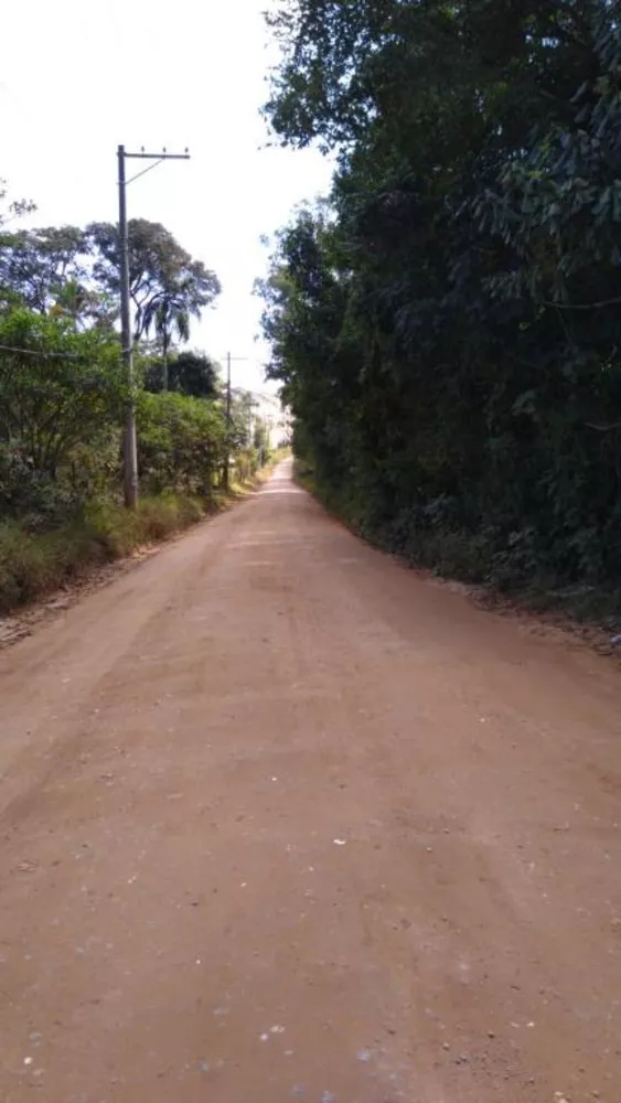 Terreno, 5 hectares - Foto 3