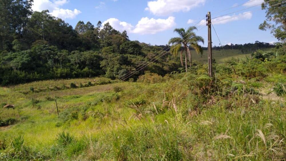 Terreno, 5 hectares - Foto 5