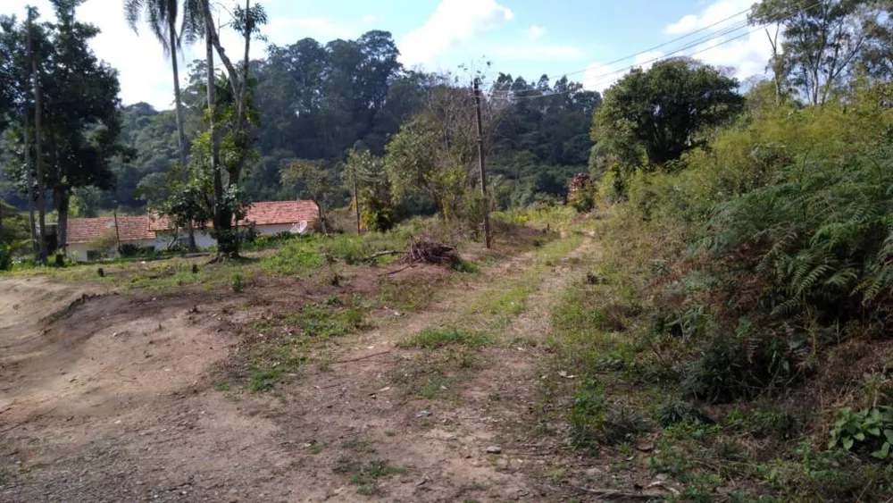Terreno, 5 hectares - Foto 1