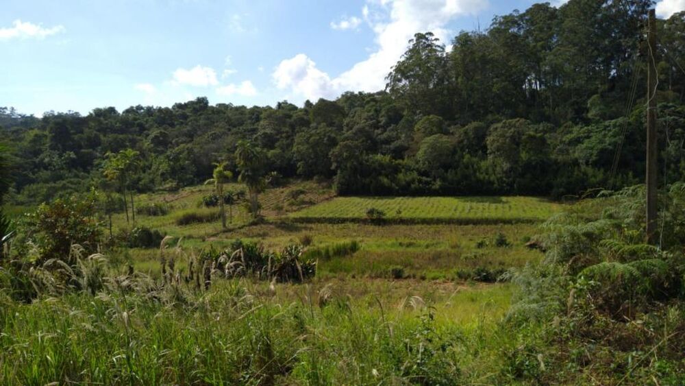 Terreno, 5 hectares - Foto 11