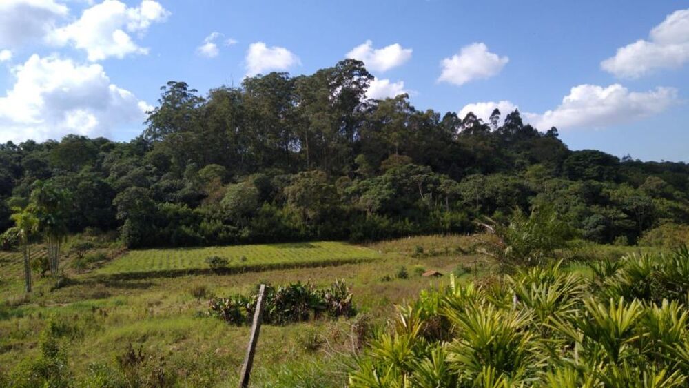 Terreno, 5 hectares - Foto 7