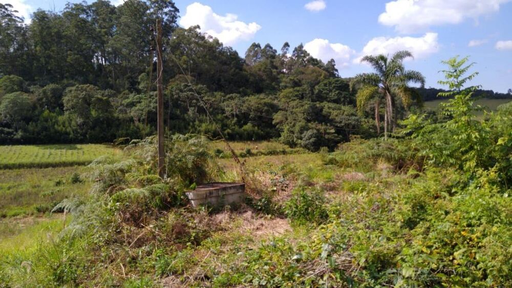 Terreno, 5 hectares - Foto 6