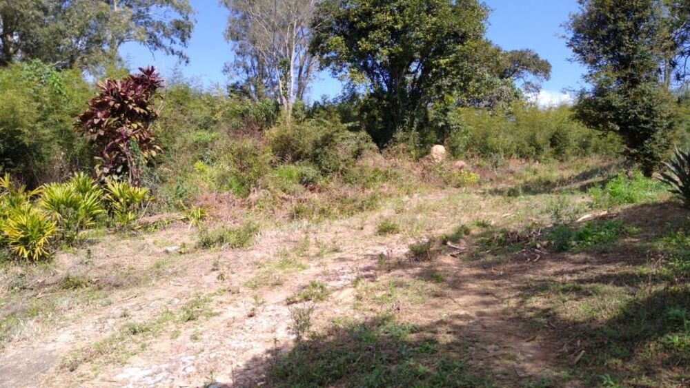 Terreno, 5 hectares - Foto 9