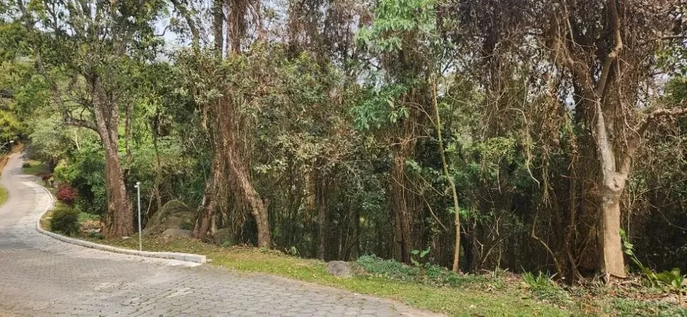 Terreno, 2080 m² - Foto 8