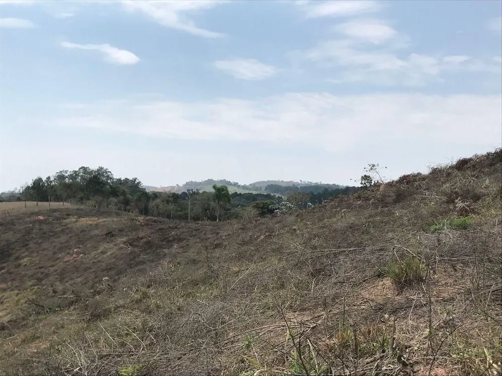 Terreno, 4 hectares - Foto 7