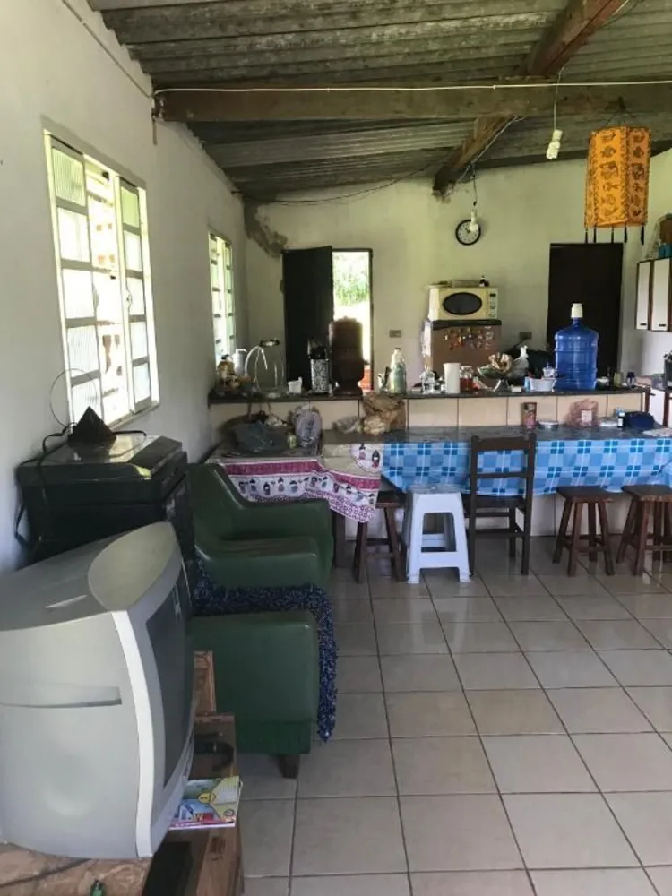 Terreno, 4 hectares - Foto 4