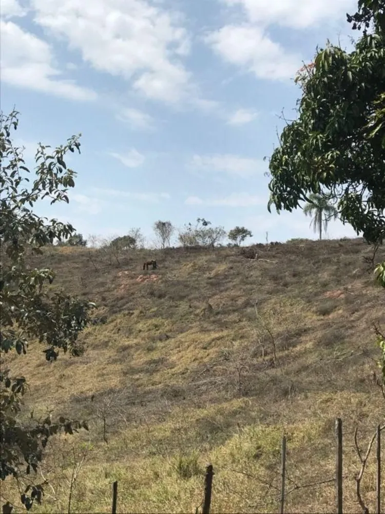 Terreno, 4 hectares - Foto 8