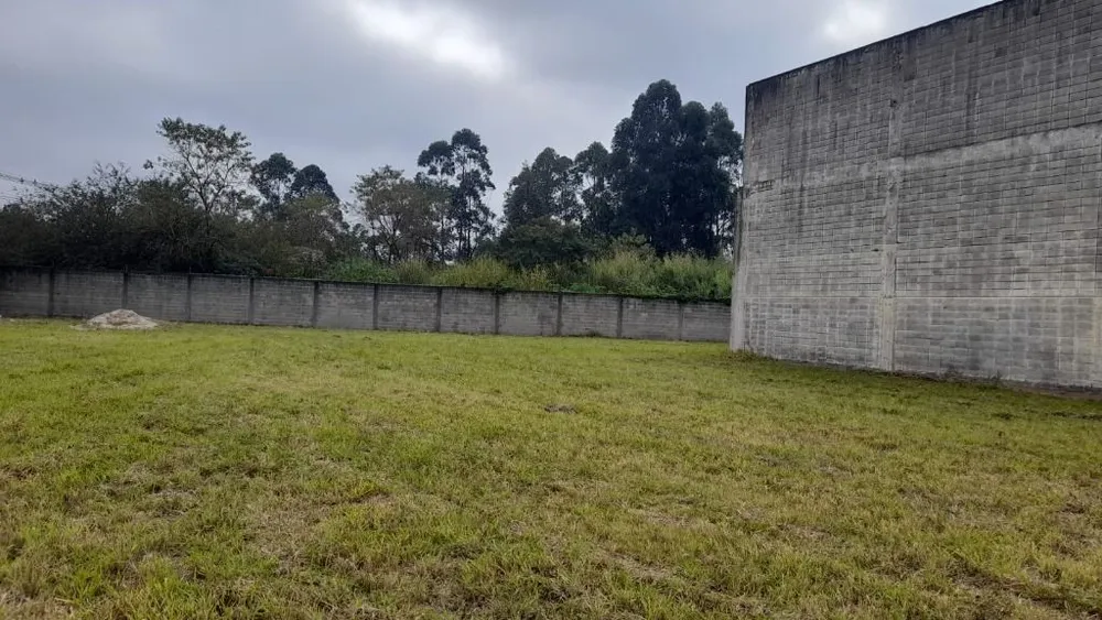 Depósito-Galpão, 1600 m² - Foto 4