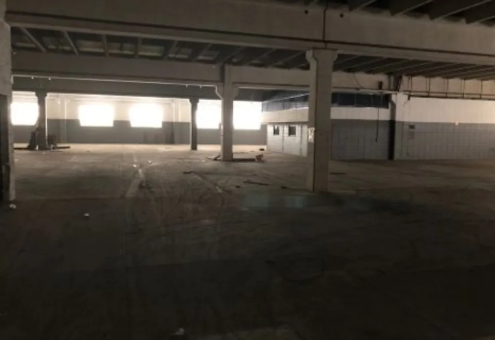 Depósito-Galpão, 5499 m² - Foto 4