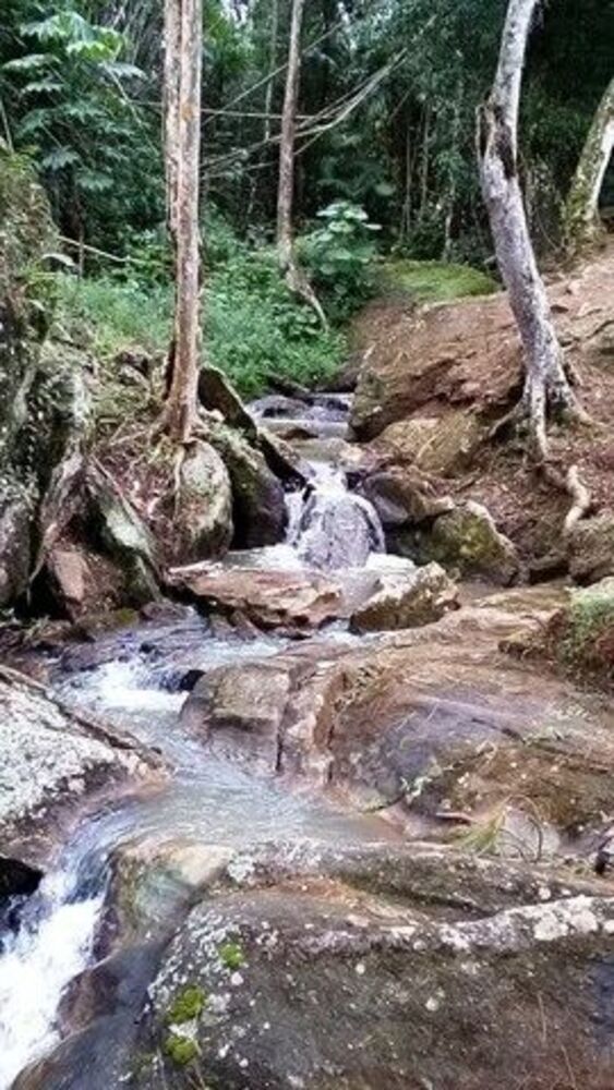 Sítio, 3 quartos, 6 hectares - Foto 7