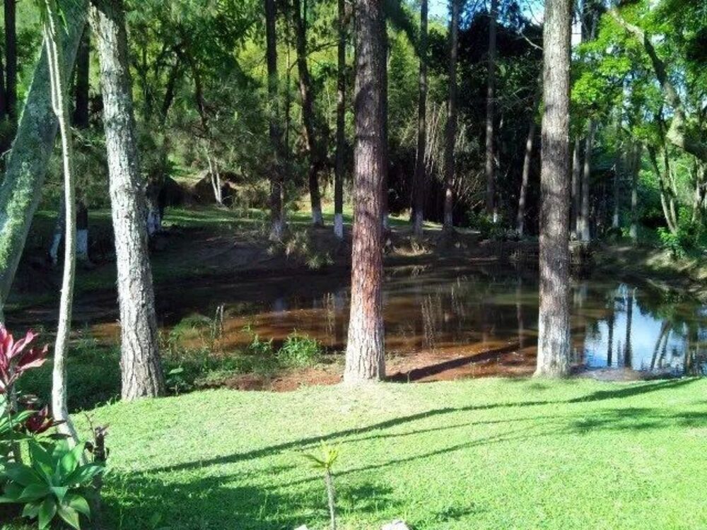 Sítio, 3 quartos, 6 hectares - Foto 9
