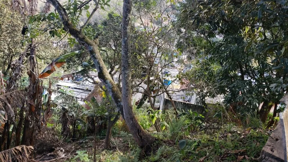 Chácara, 2 quartos, 1046 m² - Foto 3